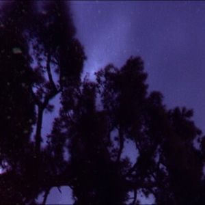 Meet your Posher, Fatima